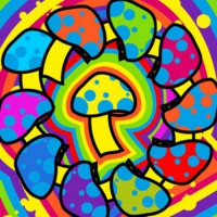 /album/elarte/a1205177889-f-jpg/