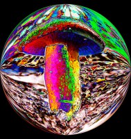 /album/elarte/flat-550x550-075-f-jpg/